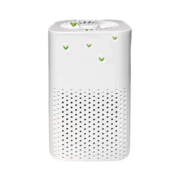 Air Purifier with HEPA & Carbon Filter for Home