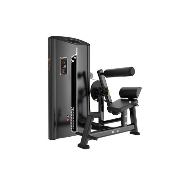 Pin Loaded Back Extension Machine - Legacy Series
