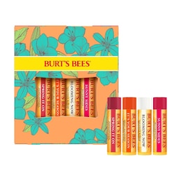 Burt's Bees 4 x4.25g