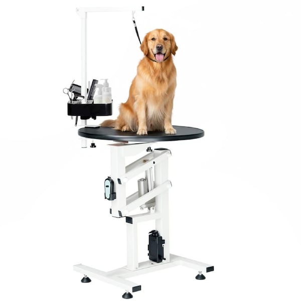 Advwin Electric Pet Grooming Table Height Adjustable Dog Grooming Table