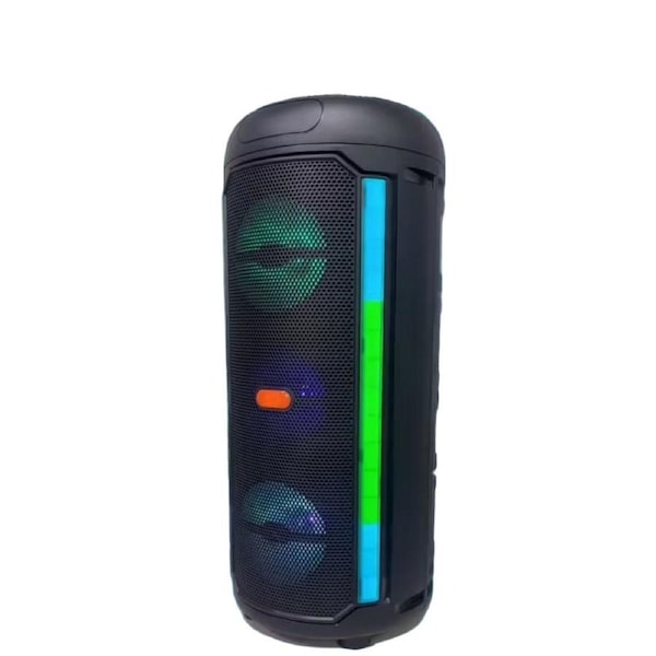 5000W Dual 9cm PA Speaker with Mic & Colorful Lights