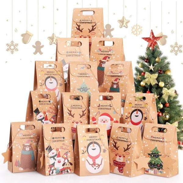 Bighan 24 Pcs Christmas Kraft Paper Bags Paper Gift Bags with Christmas Tags Christmas Boxes Treat Goody Candy Bag for Xmas Gift Wrapping Christmas Party Supplies, Xmas Party Favour Box ASSORTED