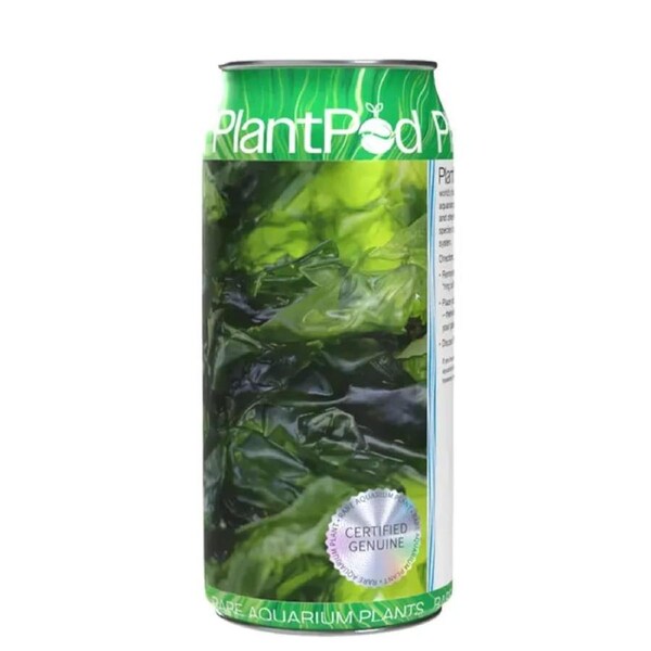 Aqua Natural Plant Pod Nori Sheet Live Seaweed