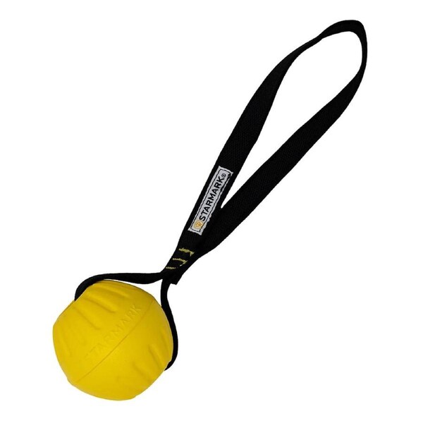 Starmark GripCord DuraFoam Ball Large Durable Dog Fetch & Tug Toy