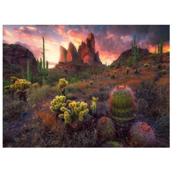 Cactus (500pc) Ravensburger