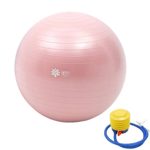 Yoga Ball Anti-Burst With Pump Stability & Balance
