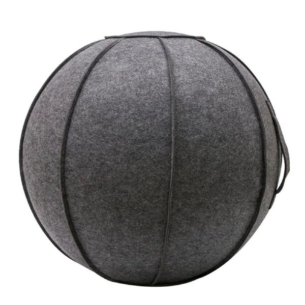 Yoga Ball Cover With Pump & Handle
