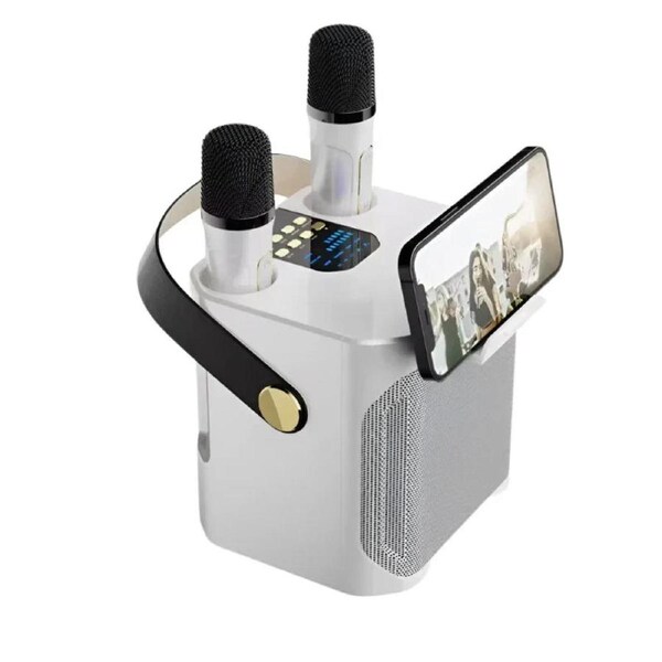 High Power Karaoke Bluetooth Speaker With Dual Microphone