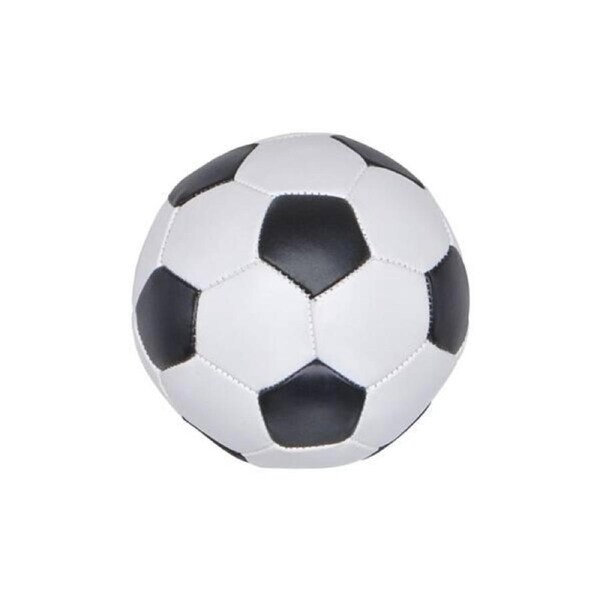Teddy Bear Sized Soccer Ball