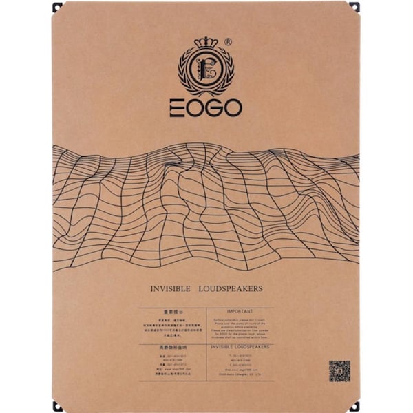 EOGO 20W Invisible Speaker 8Ohm