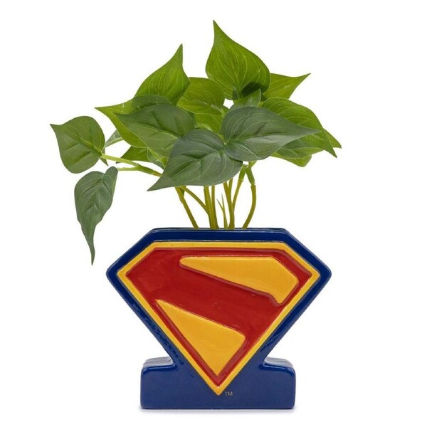 DC Comics - Superman - Shield Plant & Planter