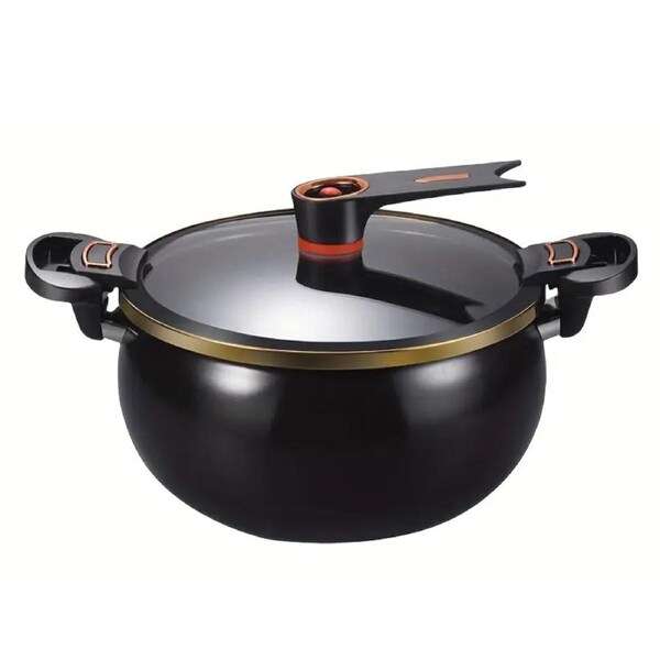 Chubby Soup Pot Non-Stick for All Stoves