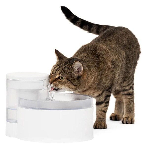 PetSafe 1.7L Outlast Pumpless Pet Water Fountain - PWW10-17958