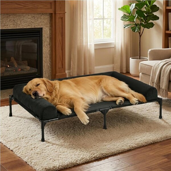 Advwin Elevated Dog Bed Heavy Duty Bolstered Large Pet Raised couch Sofa