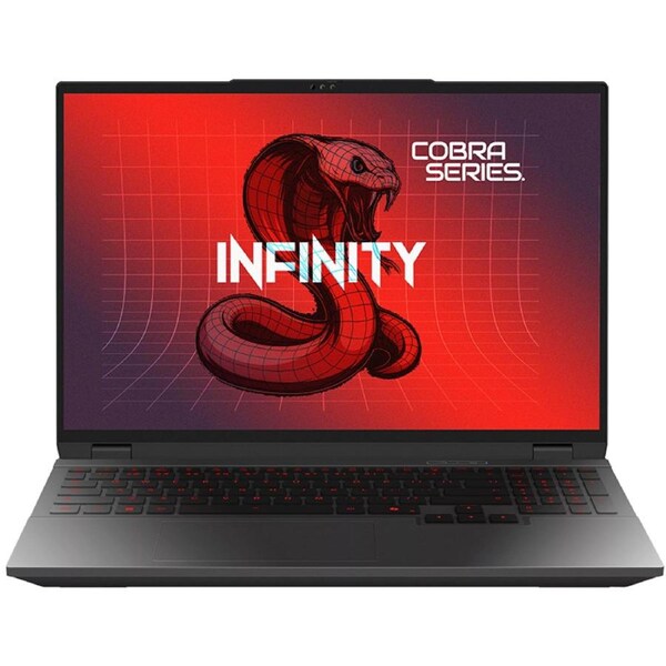 Infinity Cobra 6 16in WQXGA 180Hz Ryzen 9 8940HX RTX 5060 1TB SSD 16GB RAM W11H Gaming Laptop (Cobra 6-DRAR9-899)