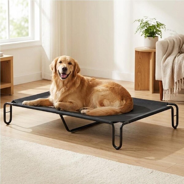 Advwin Large Elevated Dog Bed 122cm