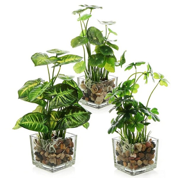 SpringUp Set of 3 Fake Plants 24cm Artificial Plants Home Decor Faux Plant Indoor with Clear Glass Pots for Office Desk Shelf Bedroom Bathroom Coffee Table Living Room Decor