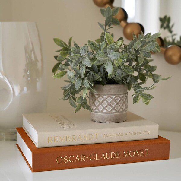 DelSol Decorative Book Set of 2, Faux Linen Storage Boxes for Coffee Table, Bookshelf & Mantel Decor, Aesthetic Fake Books for Home Decoration-Camel