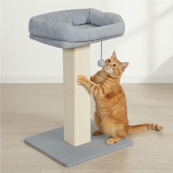 77cm PaWz Cat Scratching Post with Padded Perch