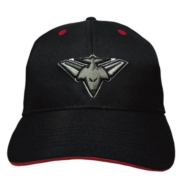 Essendon Bombers AFL Adults 3D Logo Cap