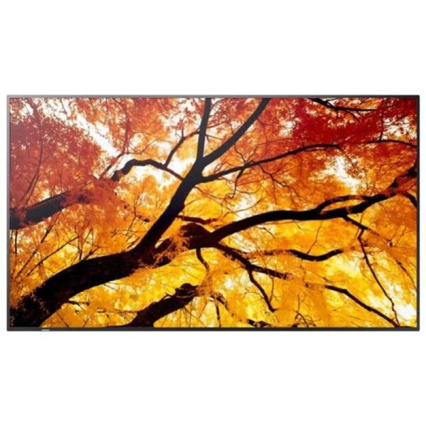 Sharp PN-M552 55" Large Display UHD