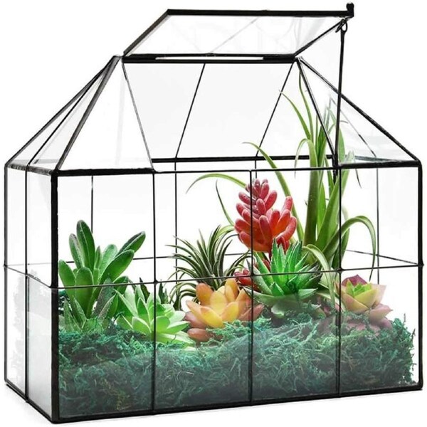 Glass Terrarium House Planter – Succulent Plant Glass Greenhouse with Lid AU