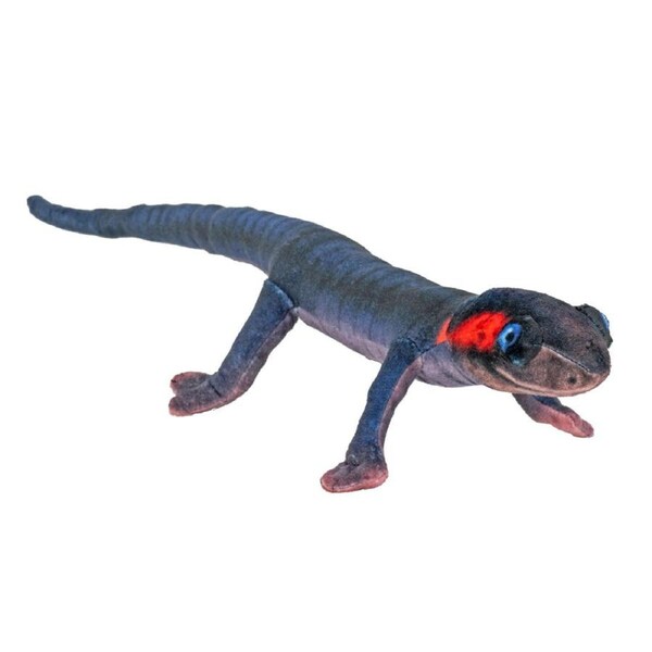 Wild Republic Coilkins Reptile Red Cheeked Salamander 12"