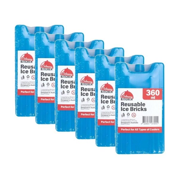 6PK Braz 360ml Reusable Plastic Brick Ice Cooler 16.5x9x3cm Blue