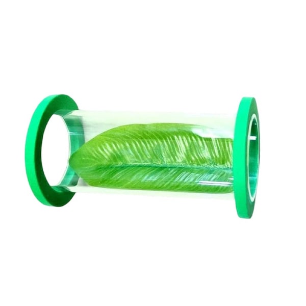 Acrylic Tube Tunnel Betta Bed Transparent Fish Tank Decor Superior Material