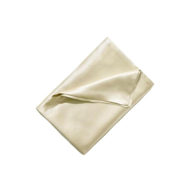25 Momme Two Sided Mulberry Silk Pillow Case Taupe