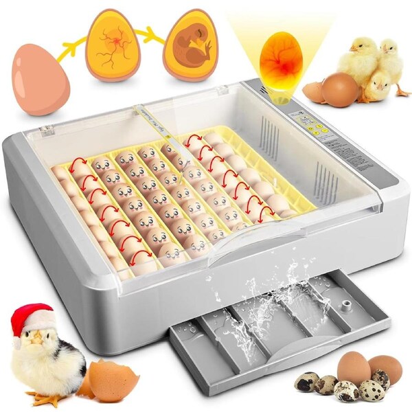 Advwin 36 Eggs Incubator with Egg Candler Automatic Egg Turning