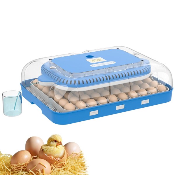 Advwin 70 Eggs Incubator Automatic Eggs Hatcher Auto Egg Turning