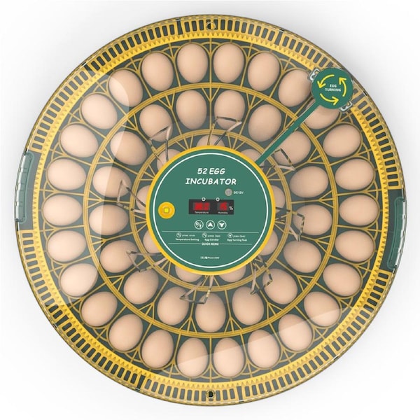 Advwin 52 Egg Incubator Eggs Hatcher Auto Egg Turning