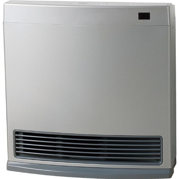 Rinnai Dynamo Natural Gas Heater