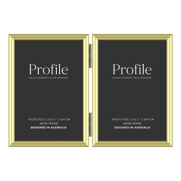 Profile Habitat Brass 2.5x3.5(2) inch Hinged
