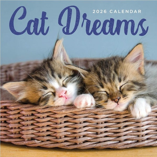 2026 Cat Dreams - Square Wall Calendar