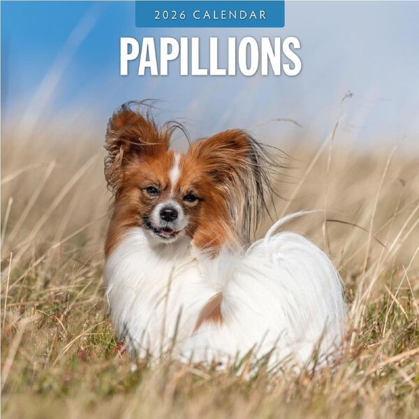 2026 Papillions - Square Wall Calendar