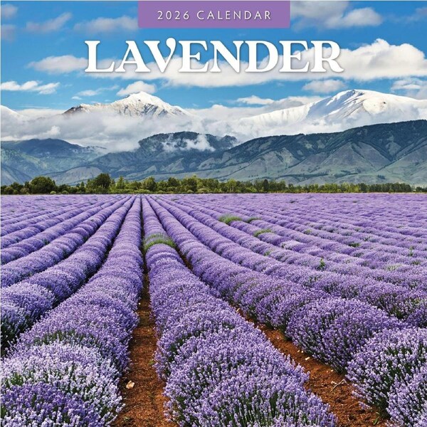 2026 Lavender - Square Wall Calendar