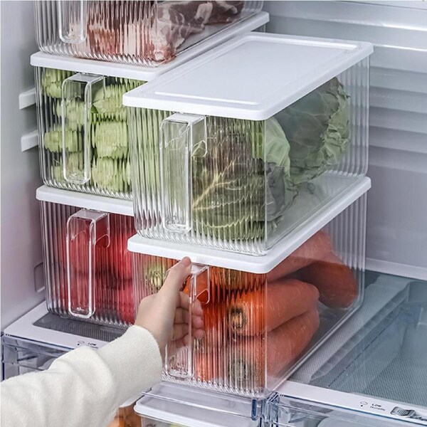Velocity 5-Pieces Food Container Refrigerator Storage Box with Lid and Handle