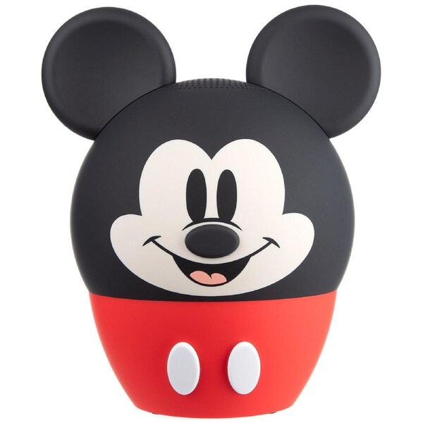 Bigger Bitty Boomers 8 Inch Bluetooth Speaker - Clear Sound, 8 Hours Playtime, USB & MicroSD Ports