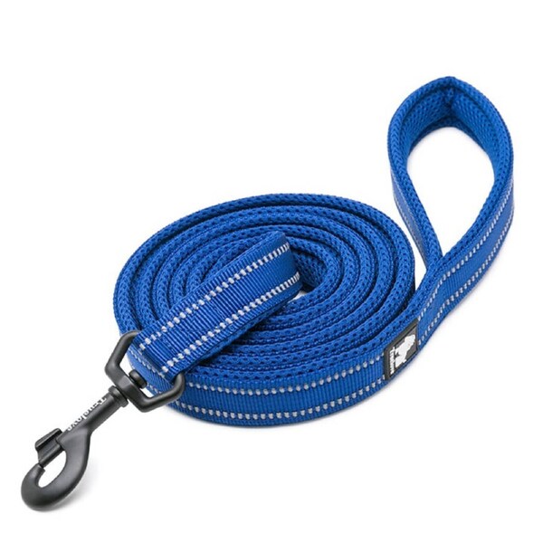 Nylon Reflective Dog Lead 2m Royal Blue L - Durable, Ergonomic Design