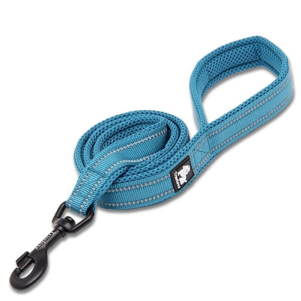 Nylon Reflective Dog Lead 2m Blue L - 3M Reflectors, Ergonomic Grip