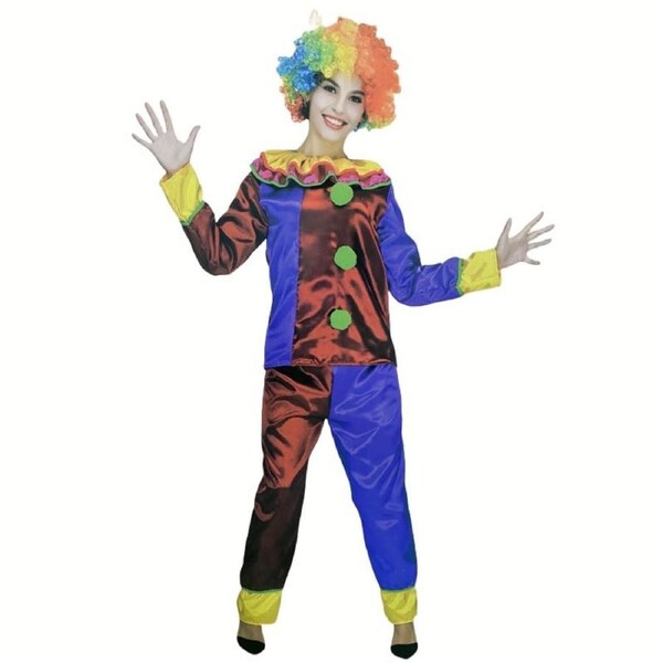 FANCY CLOWN GIRL COSTUME - One Size Fits All, Includes Shirt and Pants
