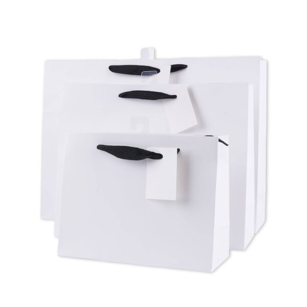 bulk 24 Large Landscape Gift Bags w Handle 26x32cm