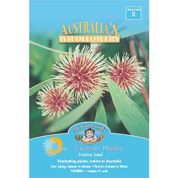 Mr Fothergill Pincushion Hakea Flower Seeds 500cm Hardy Shrub