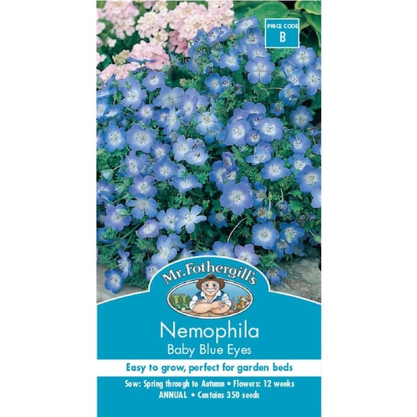 Mr Fothergill Nemophila Baby Blue Eyes Seeds 75mm Easy Grow Annual