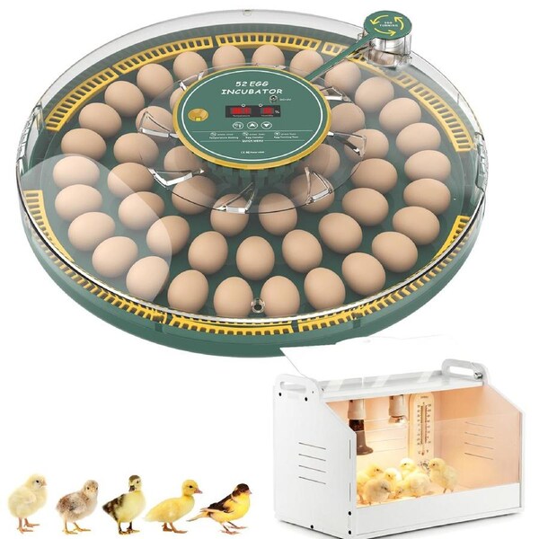 Advwin 52 Automatic Egg Incubator + Chicken Brooder Box