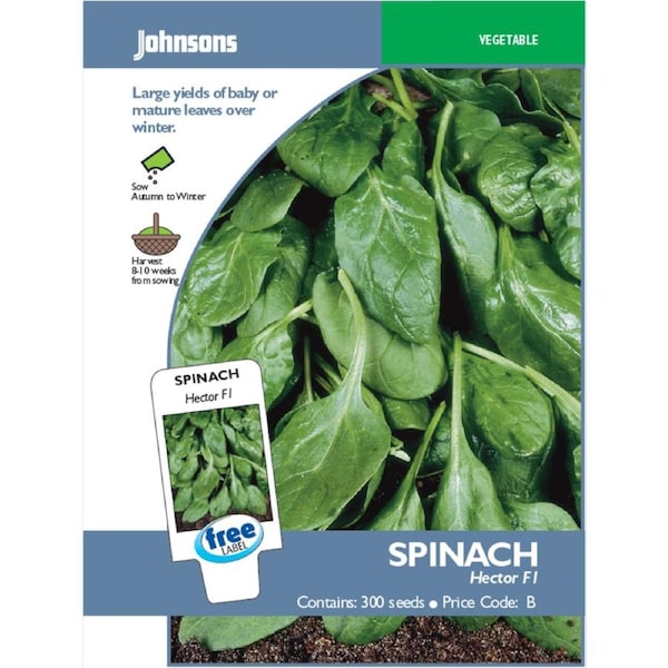 Johnsons Spinach Seeds - 10 Weeks - Seeds - Baby Leaf Production