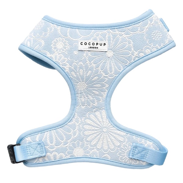 Cocopup London Adjustable Neck Harness For Dogs Baby Blue Flower 1 X Large