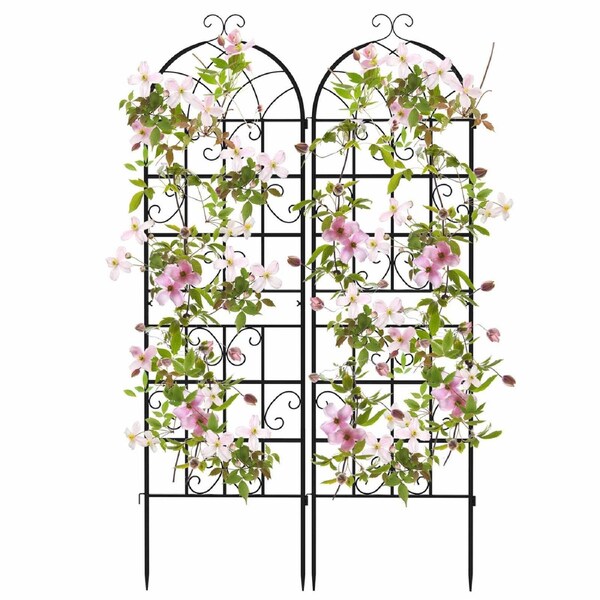 Costway 2x Metal Garden Trellis 50x180cm Rustproof Climbing Plant Stand Fence Panel Decor Flower Vegetables Cucumber